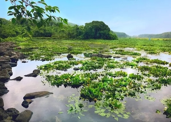 海南旅游景點(diǎn)-定安冷泉